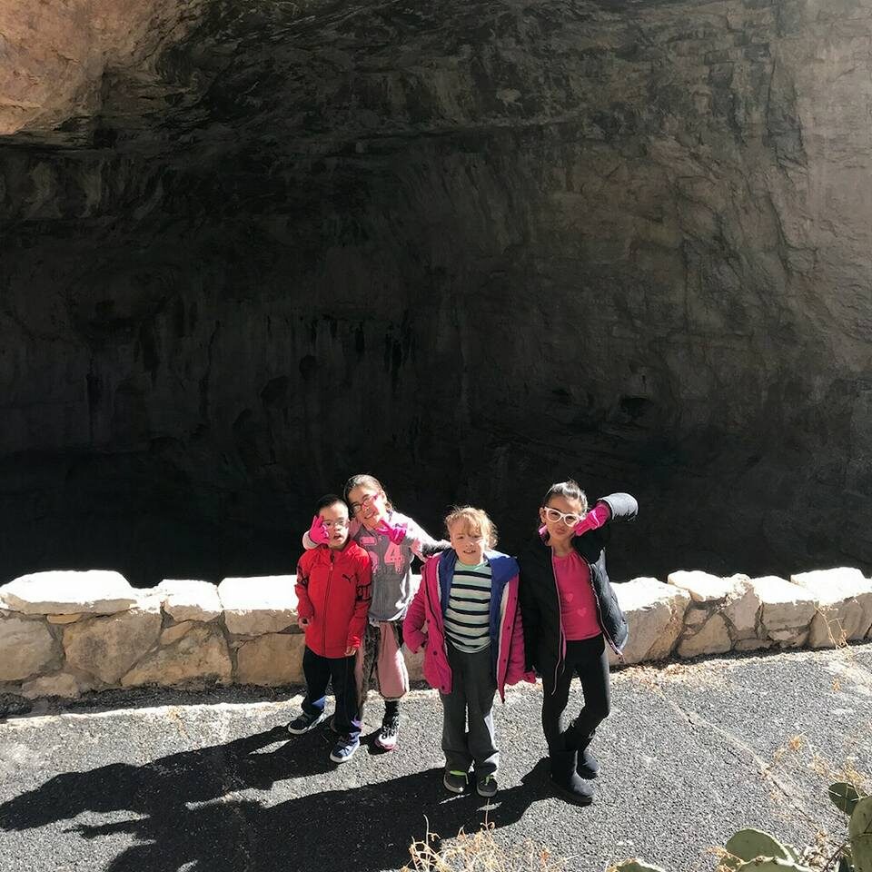 Field Trips Field Trips
